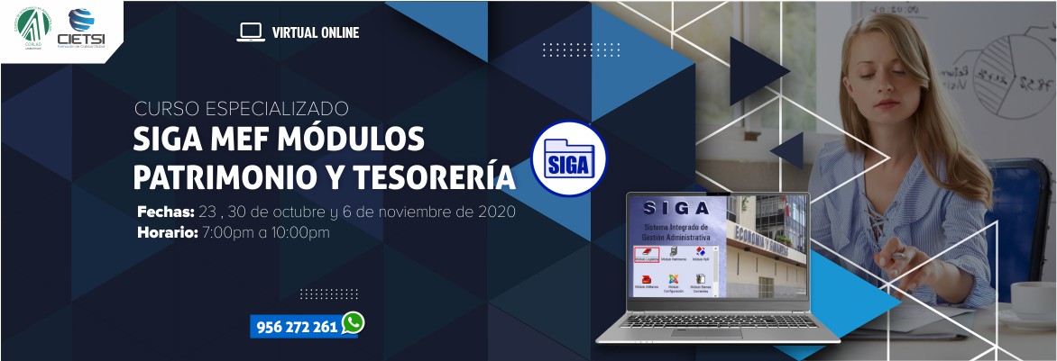 curso especializado siga mef mOdulos patrimonio y tesorerIa 2020